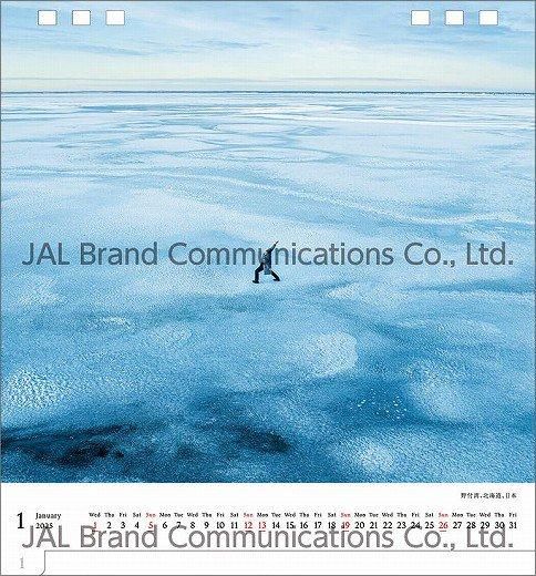  A WORLD OF BEAUTY(JAL) 2025ǯ 