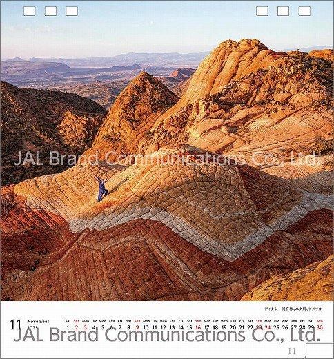  A WORLD OF BEAUTY(JAL) 2025ǯ 