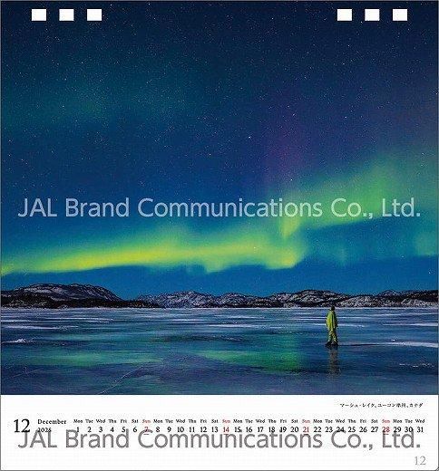  A WORLD OF BEAUTY(JAL) 2025ǯ 