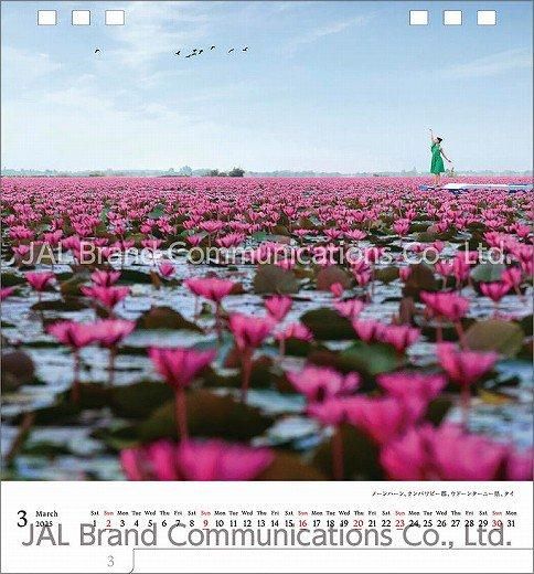  A WORLD OF BEAUTY(JAL) 2025ǯ 
