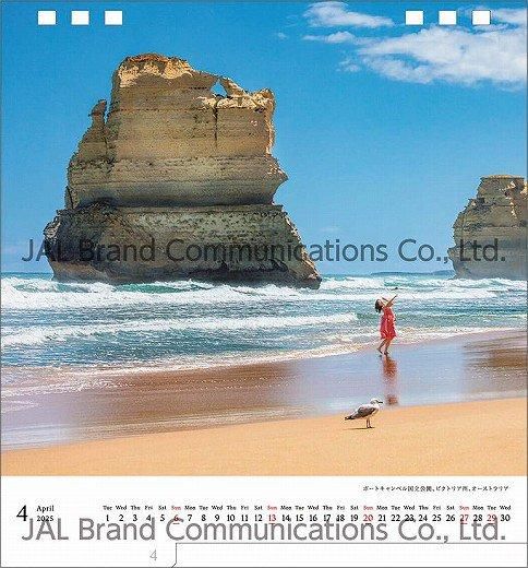  A WORLD OF BEAUTY(JAL) 2025ǯ 