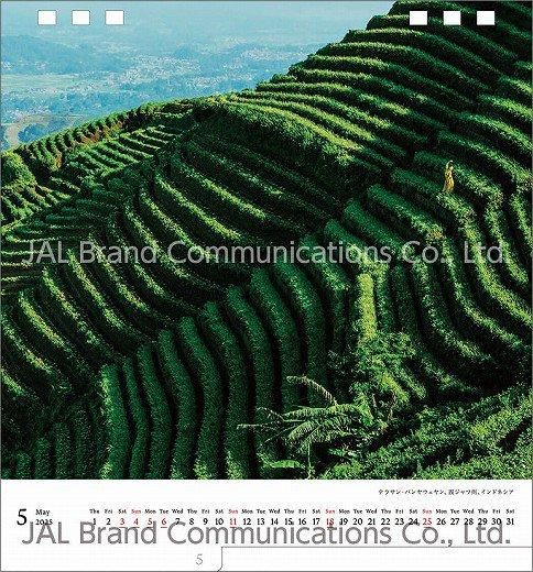  A WORLD OF BEAUTY(JAL) 2025ǯ 