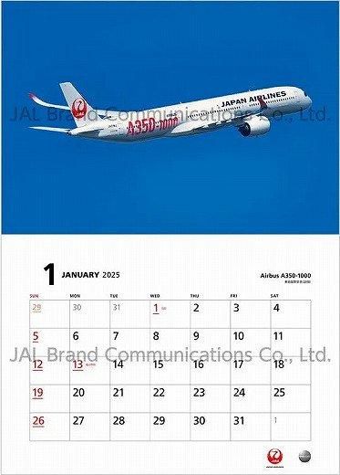 JAL FLEET 2025ǯ 