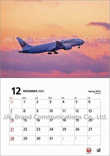 JAL FLEET 2025ǯ 