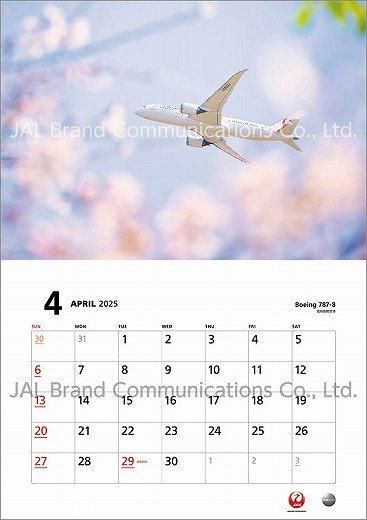 JAL FLEET 2025ǯ 