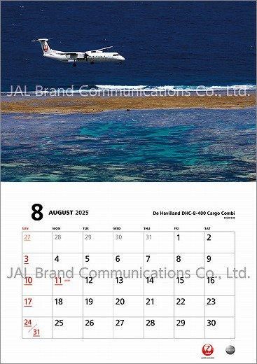 JAL FLEET 2025ǯ 