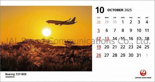  JAL FLEET 2025ǯ 