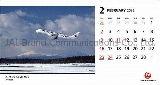  JAL FLEET 2025ǯ 