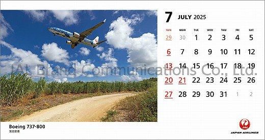  JAL FLEET 2025ǯ 