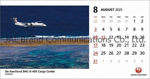  JAL FLEET 2025ǯ 
