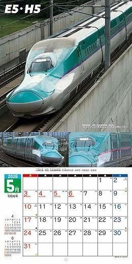 ѡ 2026ǯ 