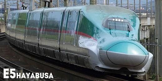ѡ 2026ǯ 