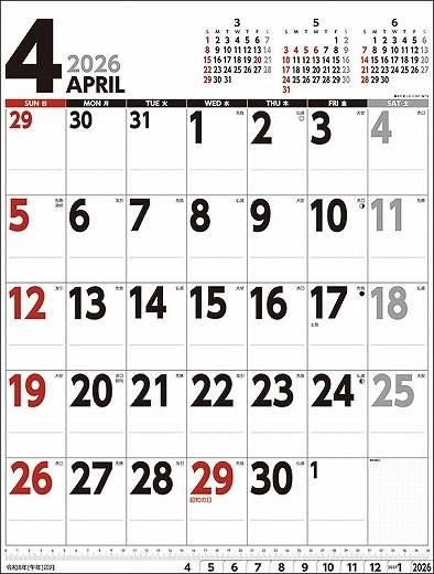 ɳݤ塼 Ʒ 2026ǯ 
