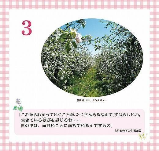ǯ᤯ ӤΥפιˤʤ61θ 