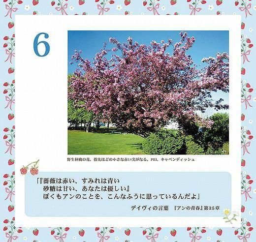 ǯ᤯ ӤΥפιˤʤ61θ 