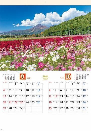 ͵ ɴ̾ 2026ǯ 