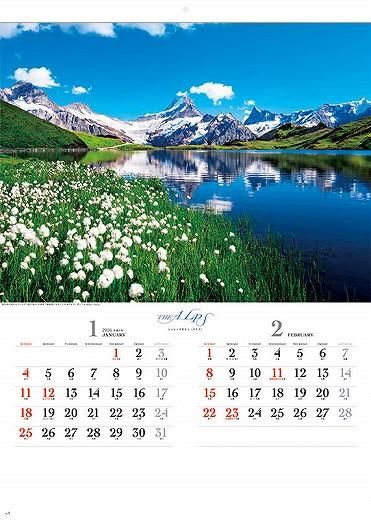 ץ 2026ǯ 