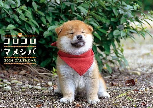 ޥ᥷ 2026ǯ 