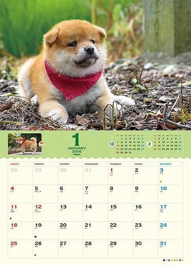 ޥ᥷ 2026ǯ 