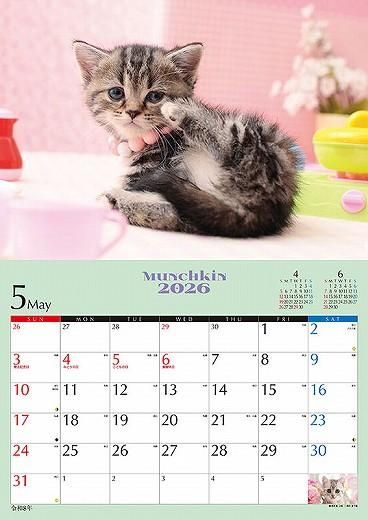 ǭΥޥ 2026ǯ 