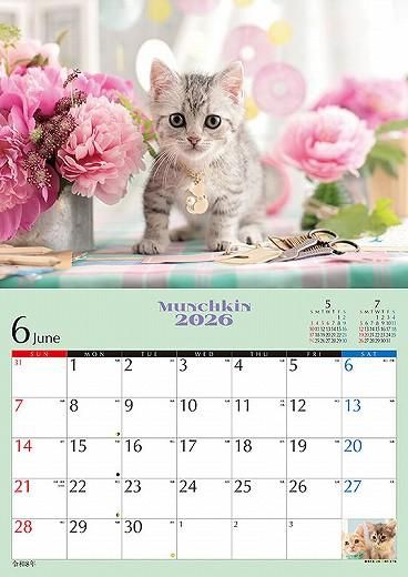 ǭΥޥ 2026ǯ 