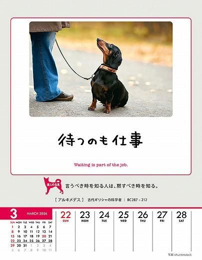 ϥ󥹡 2026ǯ 