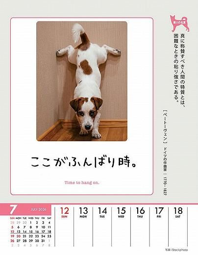 ϥ󥹡 2026ǯ 