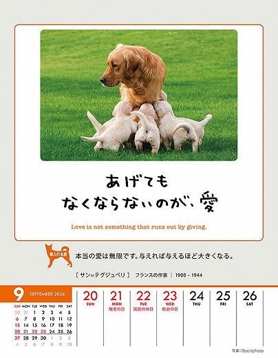 ϥ󥹡 2026ǯ 