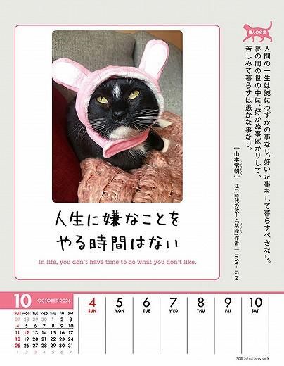 ϥ˥Ȥʤ롪 2026ǯ 