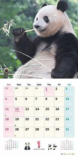 󥷥󡦥㥪㥪쥤쥤 2026ǯ 