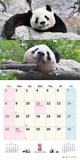 󥷥󡦥㥪㥪쥤쥤 2026ǯ 