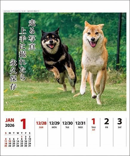  ᤯ 2026ǯ 