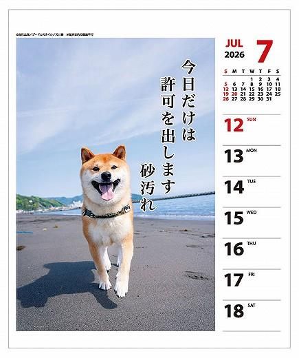  ᤯ 2026ǯ 