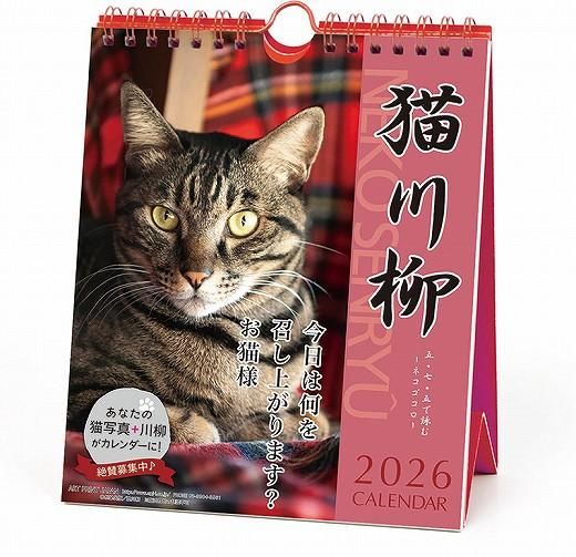 ǭ ᤯ 2026ǯ 