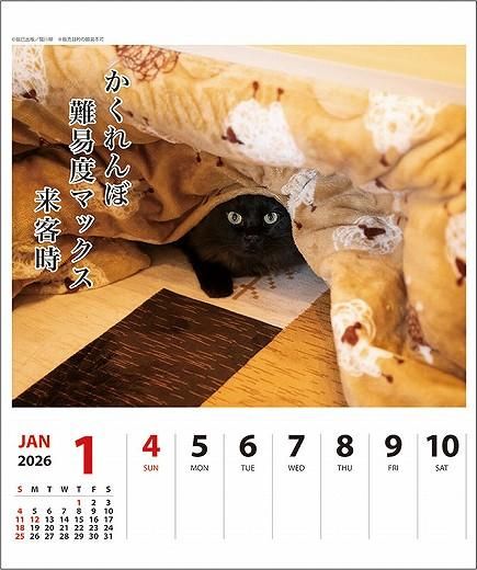 ǭ ᤯ 2026ǯ 