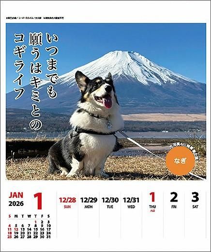  ᤯ 2026ǯ 