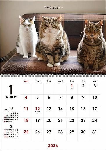 ޤ 2026ǯ 