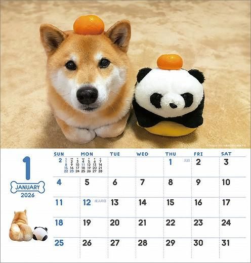  ƸޤȤ 2026ǯ 
