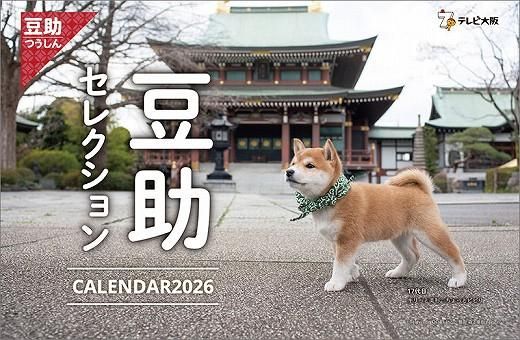 Ʀ쥯 2026ǯ 