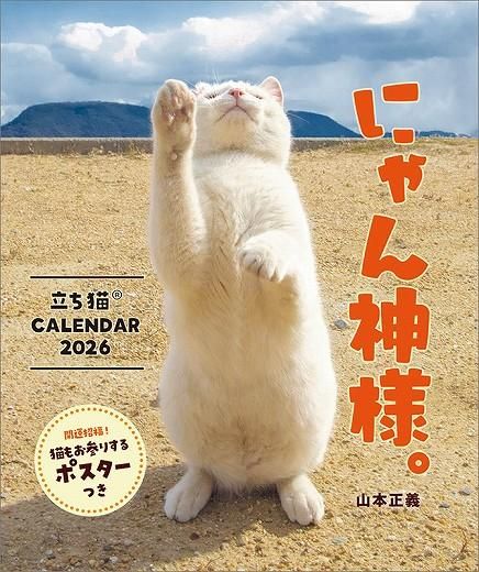 ˤ͡ Ωǭ  2026