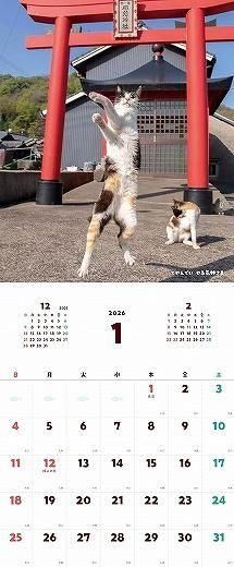 ˤ͡ Ωǭ  2026