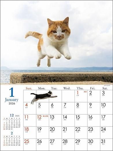 ǭ 2026ǯ 