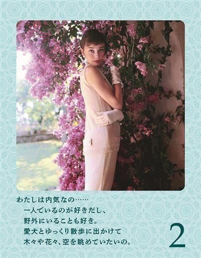 ǯ᤯ ɥ꡼إץС ʬ餷뤿31θ 