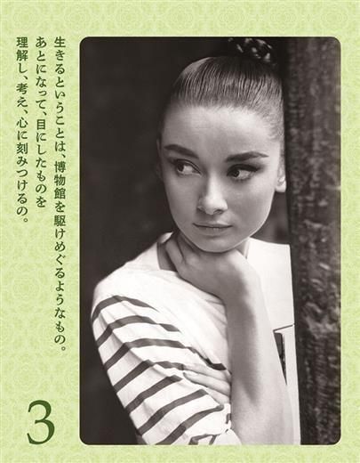 ǯ᤯ ɥ꡼إץС ʬ餷뤿31θ 