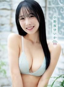 椤 2026ǯ 