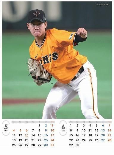 岹䥸㥤ġ 2026ǯ 