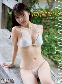 ⶶ 2026ǯ 
