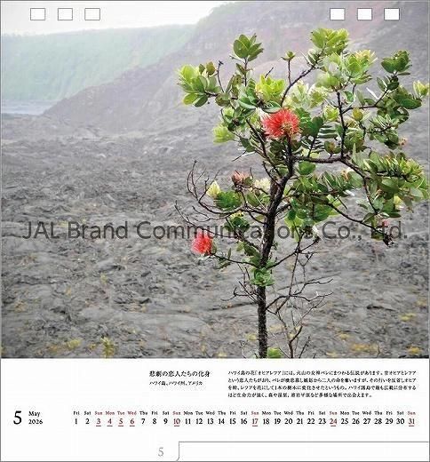  A WORLD OF BEAUTY(JAL) 2026ǯ 