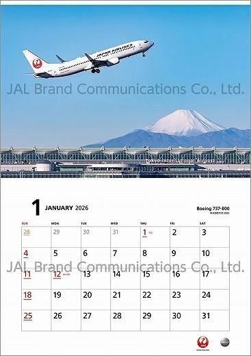 JAL FLEET 2025ǯ 
