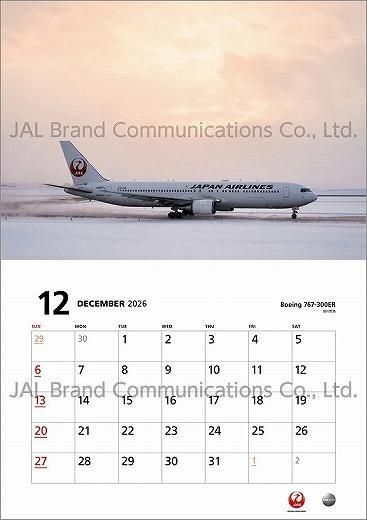 JAL FLEET 2025ǯ 